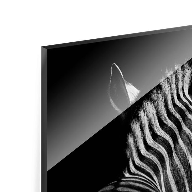 Tableaux Silhouette de zèbre en noir et blanc