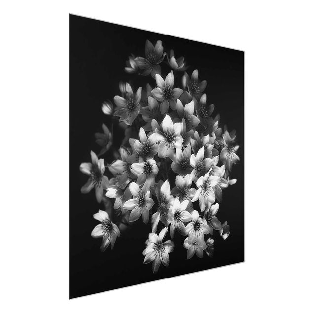 Tableaux moderne Bouquet de clématites foncé