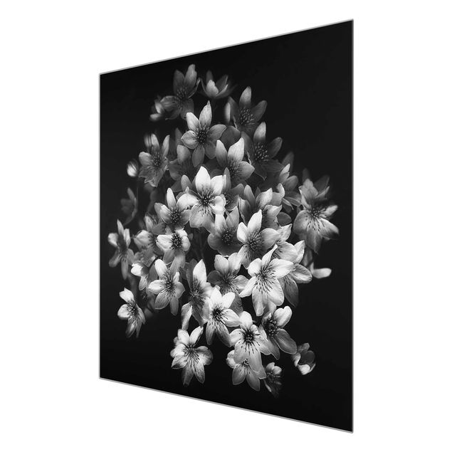 Tableaux muraux Bouquet de clématites foncé