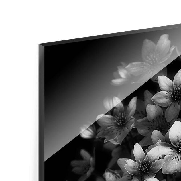 Tableaux en verre magnétique Bouquet de clématites foncé