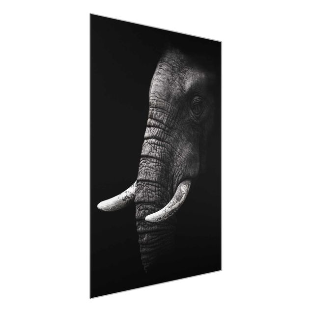 Tableaux en verre noir et blanc Portrait d'éléphant sombre