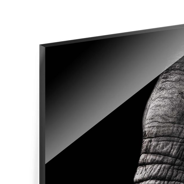 Tableaux noir et blanc Portrait d'éléphant sombre