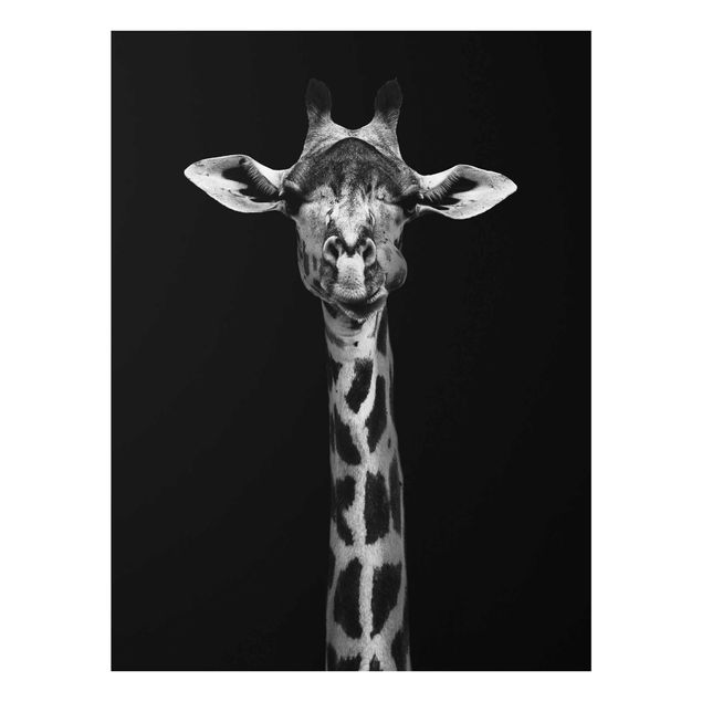 Tableau animaux Portrait de girafe sombre