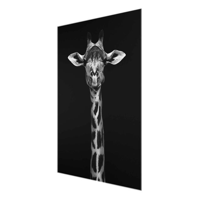 Tableaux noir et blanc Portrait de girafe sombre