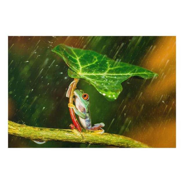 Tableau vert Grenouille sous la pluie