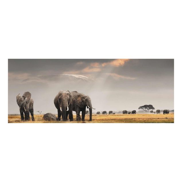Tableau animaux Eléphants dans la savane