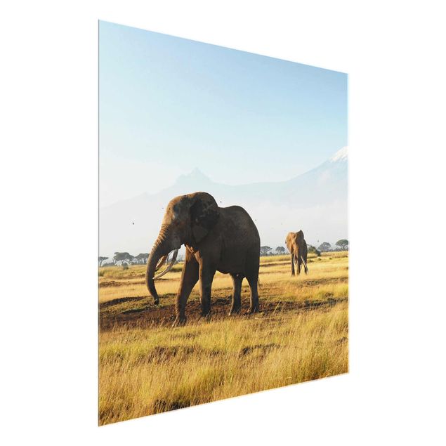 Tableau moderne Eléphants devant le Kilimandjaro au Kenya
