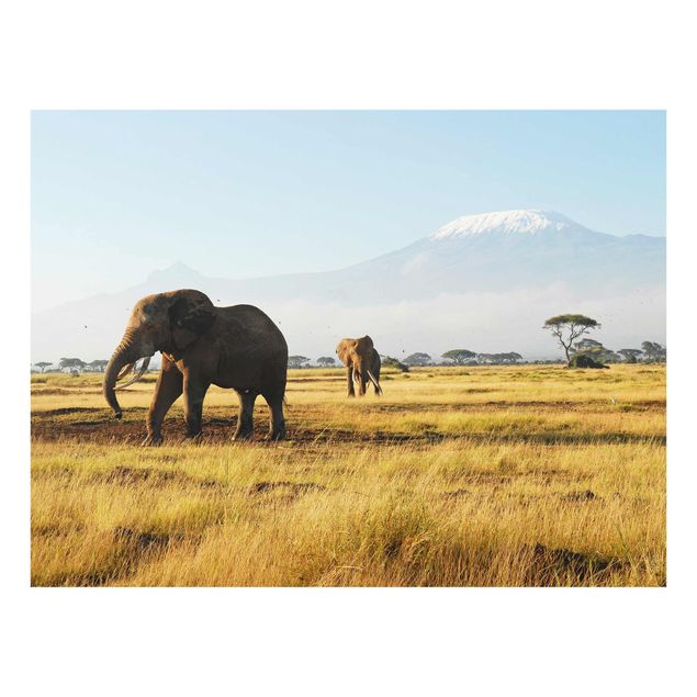 Tableau verre montagne Eléphants devant le Kilimandjaro au Kenya