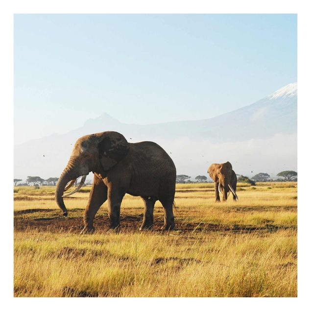 Tableau animaux Eléphants devant le Kilimandjaro au Kenya