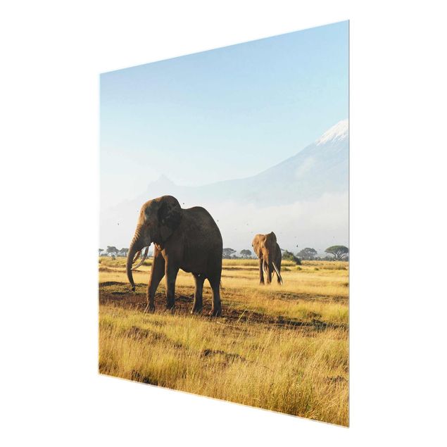 Tableau nature Eléphants devant le Kilimandjaro au Kenya