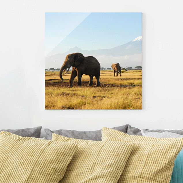 Déco murale cuisine Eléphants devant le Kilimandjaro au Kenya