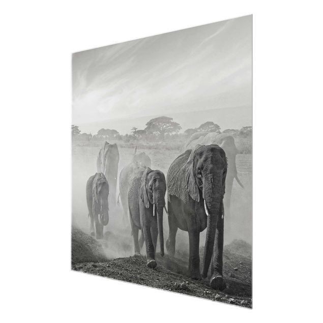Tableaux animaux Troupeau d'éléphants