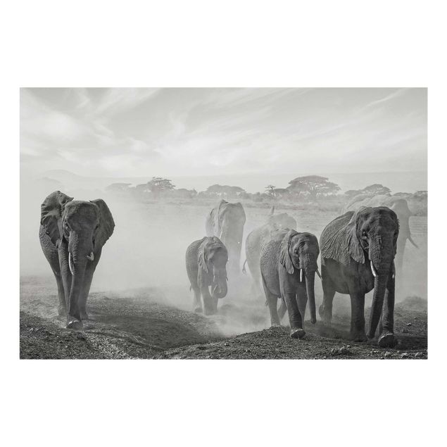 Tableaux modernes Troupeau d'éléphants