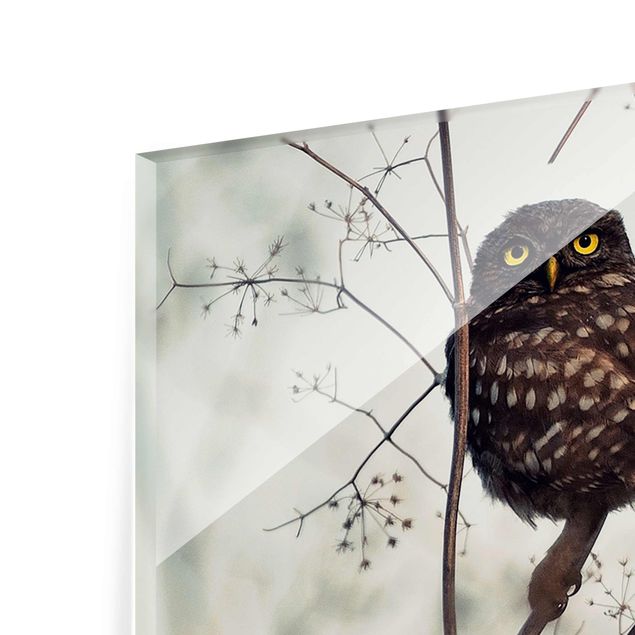 Tableau en verre - Owl In The Winter