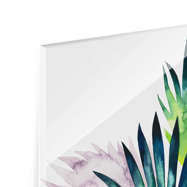 Tableaux en verre magnétique Feuillage exotique - Fan Palm