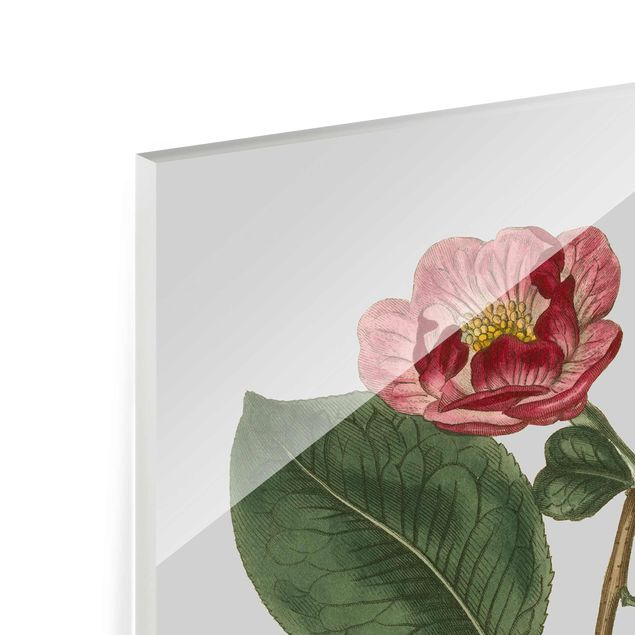 Tableaux en verre magnétique Bijoux floraux I