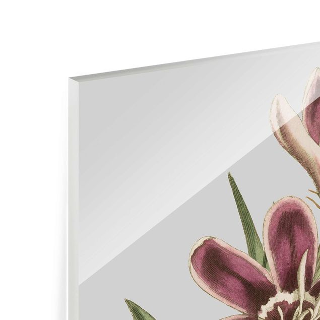 Tableaux en verre magnétique Bijoux floraux II