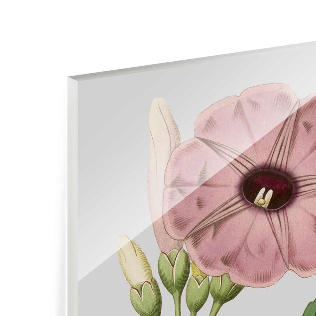 Tableaux en verre magnétique Bijoux floraux III