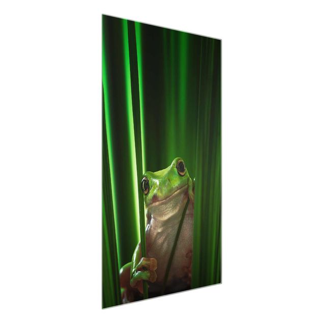 Tableau verre animaux Merry Frog