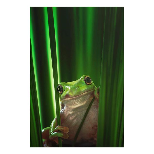 Tableau décoration Merry Frog