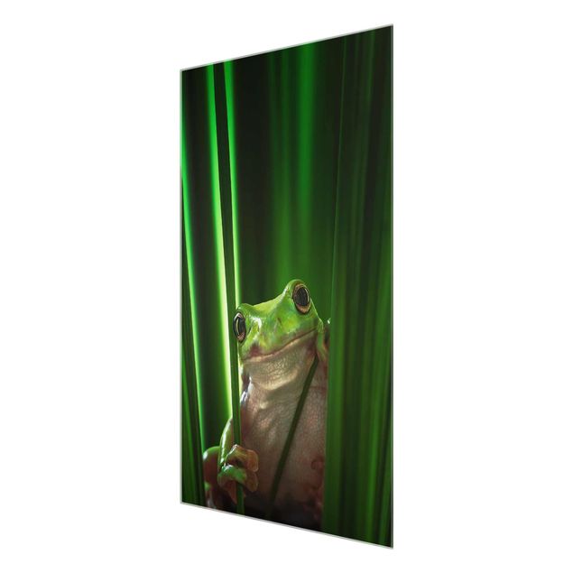 Tableaux en verre magnétique Merry Frog
