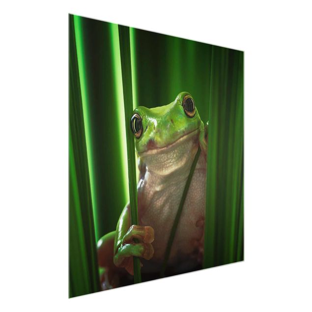 Tableau verre animaux Merry Frog