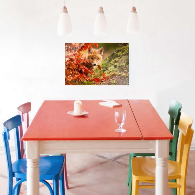 Tableaux paysage Renard en automne