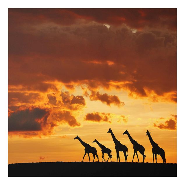 Tableau animaux Cinq Girafes