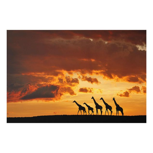 Tableau afrique Cinq Girafes