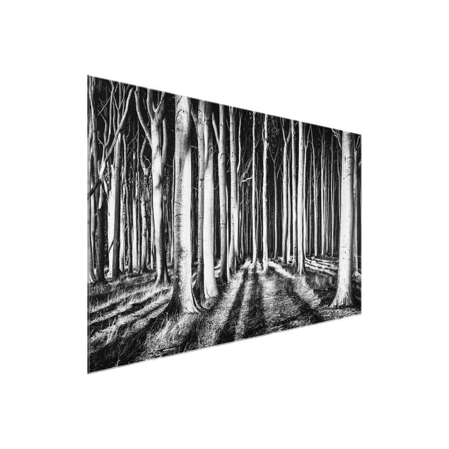 Tableaux en verre noir et blanc Forêt effrayante