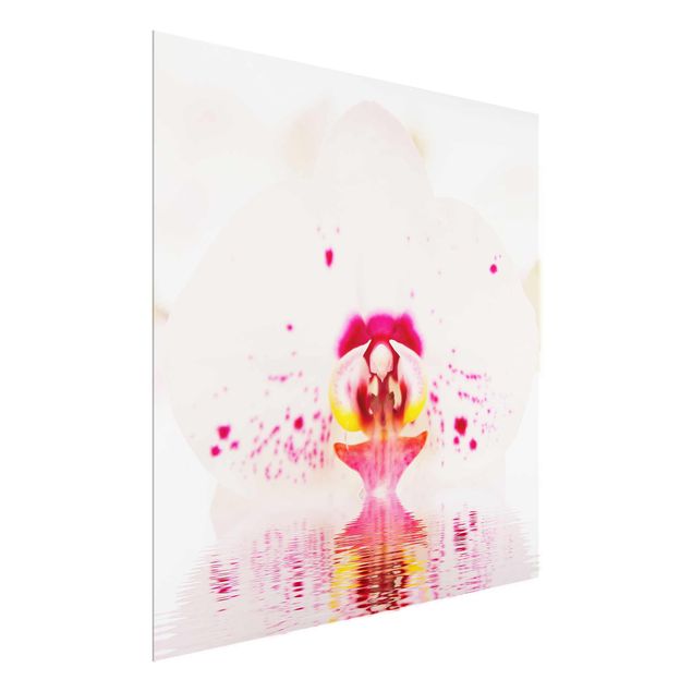 Tableaux en verre fleurs Orchidée en pointillés sur l'eau