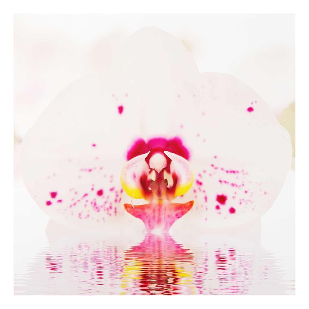 Tableau moderne Orchidée en pointillés sur l'eau