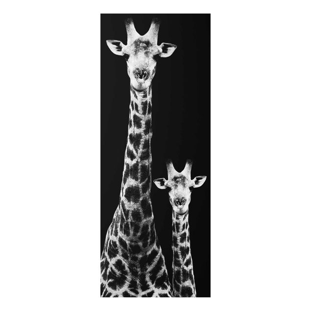 Cadre animaux Duo de girafes noir et blanc