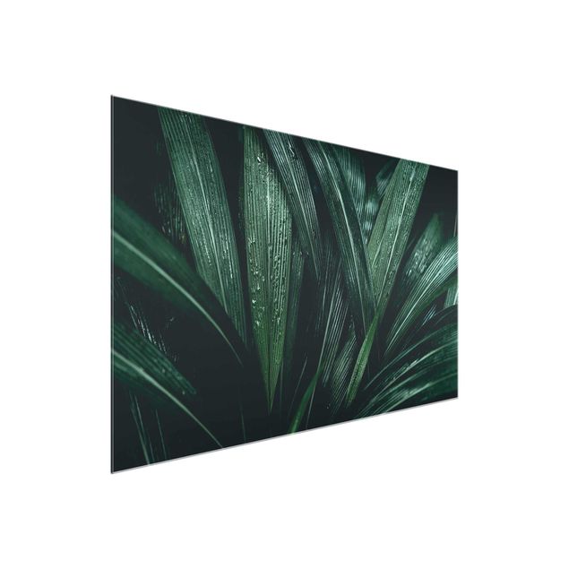 tableaux floraux Feuilles de palmier vertes