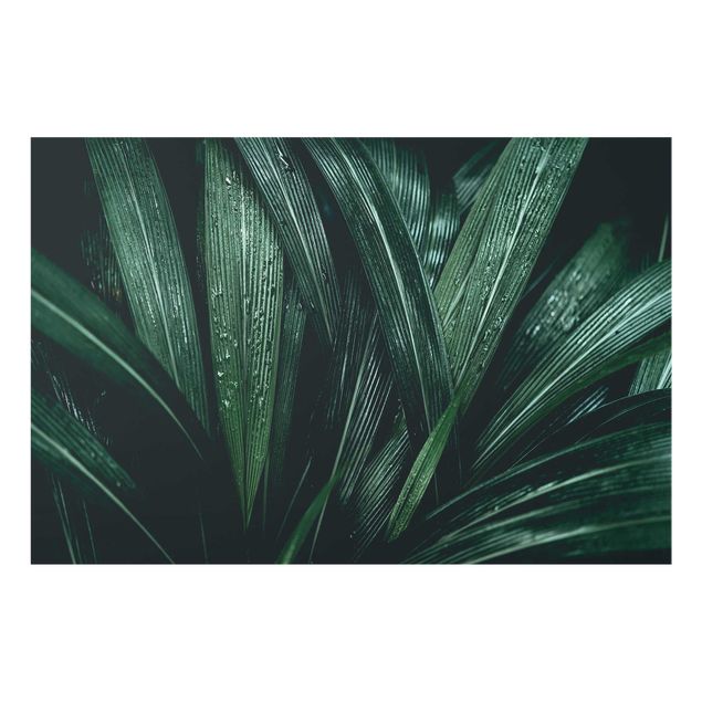 Tableau couleur vert Feuilles de palmier vertes
