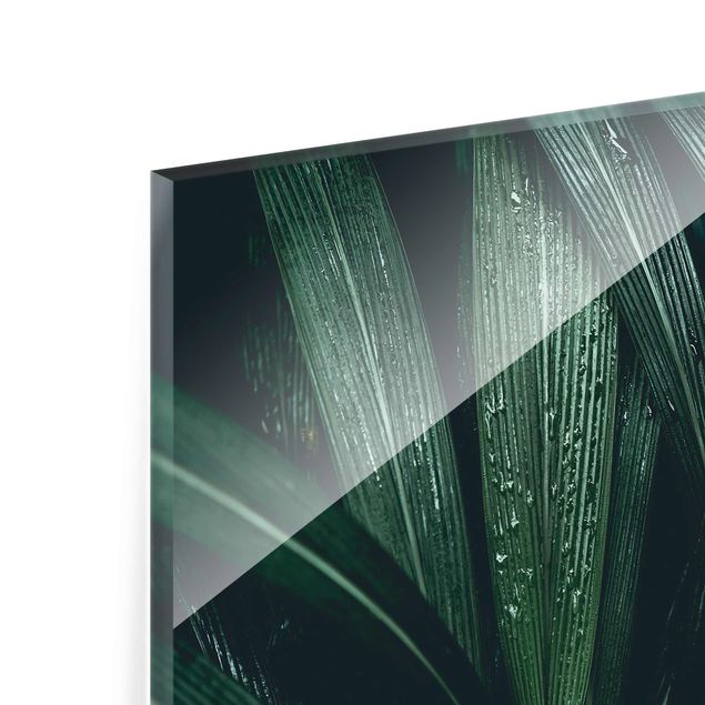 Tableaux en verre magnétique Feuilles de palmier vertes