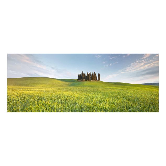 Tableau verre paysage Champ vert en Toscane