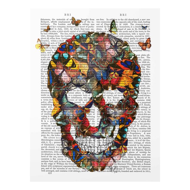 Cadre animaux Scary Reading - Crâne de papillon
