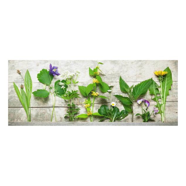 Tableaux en verre magnétique Herbes médicinales et herbes des prés