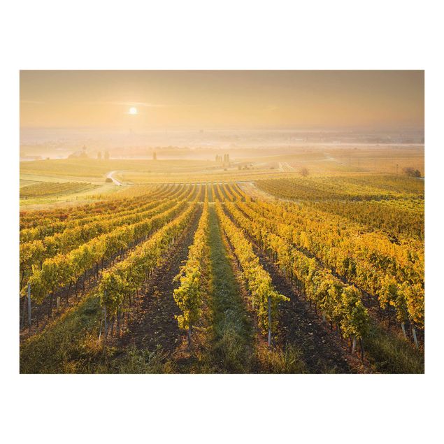 Tableaux modernes Vignobles d'automne près de Vienne