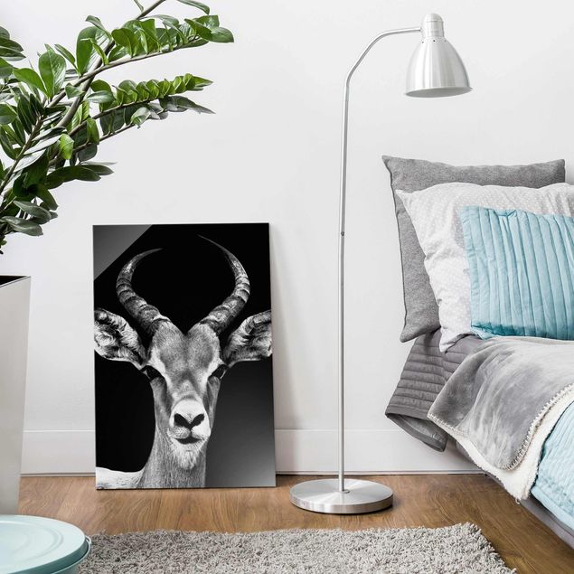 Tableau moderne Antilope Impala noir et blanc