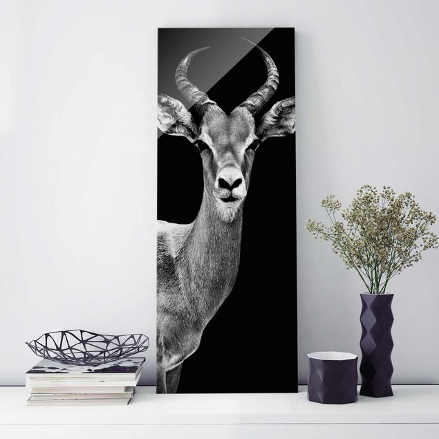 Tableaux en verre noir et blanc Antilope Impala noir et blanc