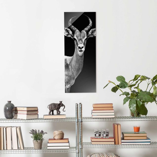 Tableau moderne Antilope Impala noir et blanc