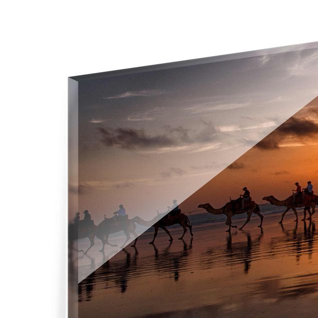 Tableaux en verre magnétique Safari à dos de chameau