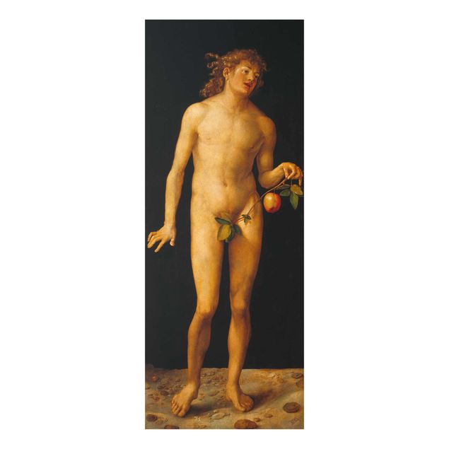 Tableaux reproduction Albrecht Dürer - Adam