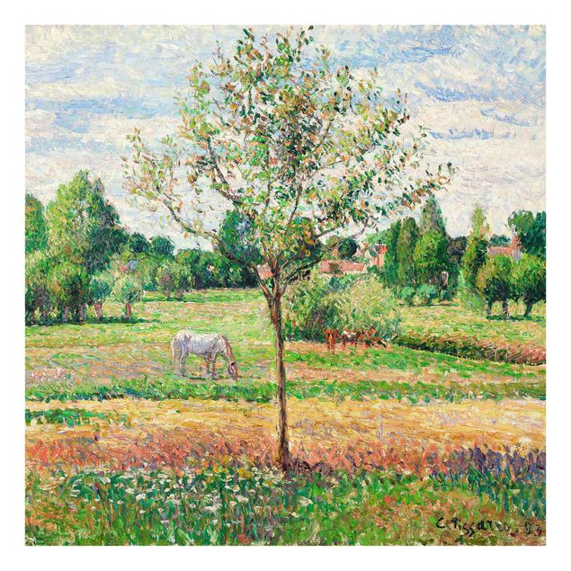 Tableau paysages Camille Pissarro - Prairie avec cheval gris, Eragny