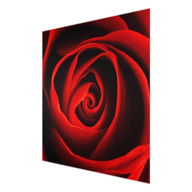 Tableau dominante rouge Belle Rose