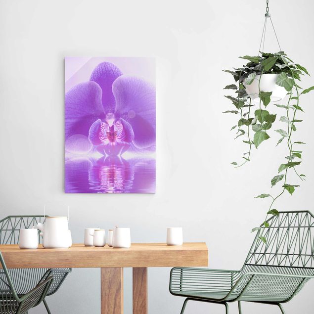 Déco mur cuisine Orchidée violette sur l'eau