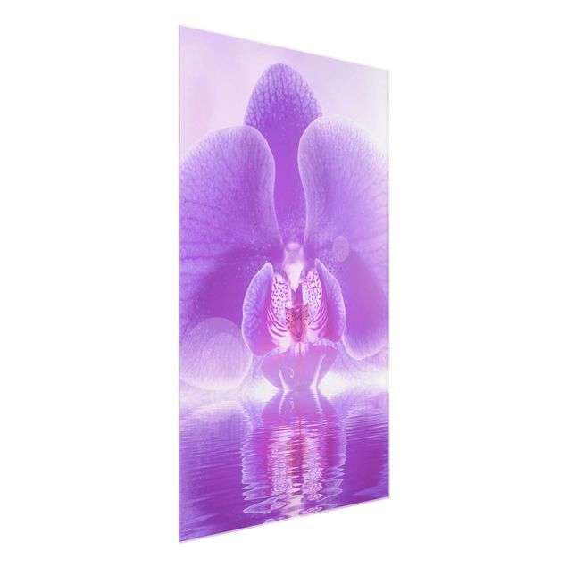 Tableaux en verre fleurs Orchidée violette sur l'eau