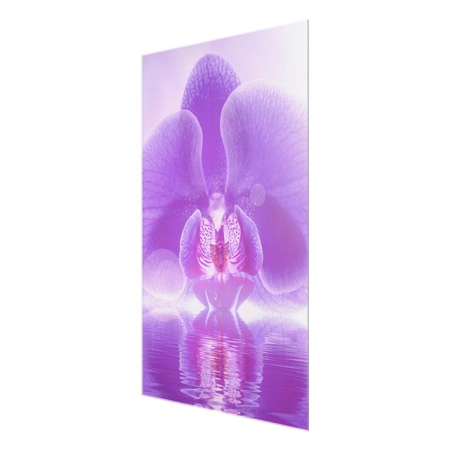 tableaux floraux Orchidée violette sur l'eau